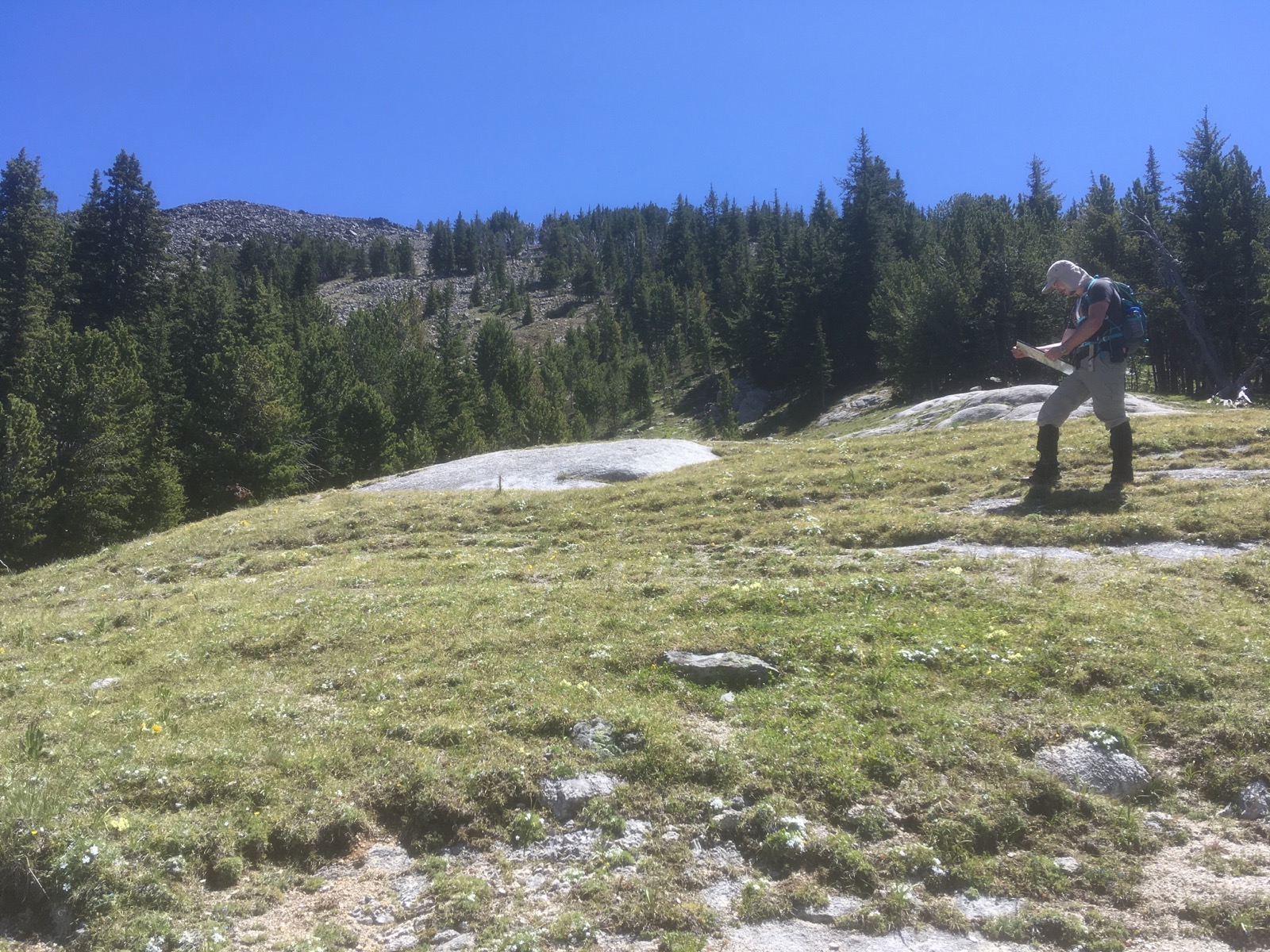 Montana Tech M.S. student Joel Dietrich examines marble outcrops on Windy Ridge in the Elkhorn 7.5’ quadrangle