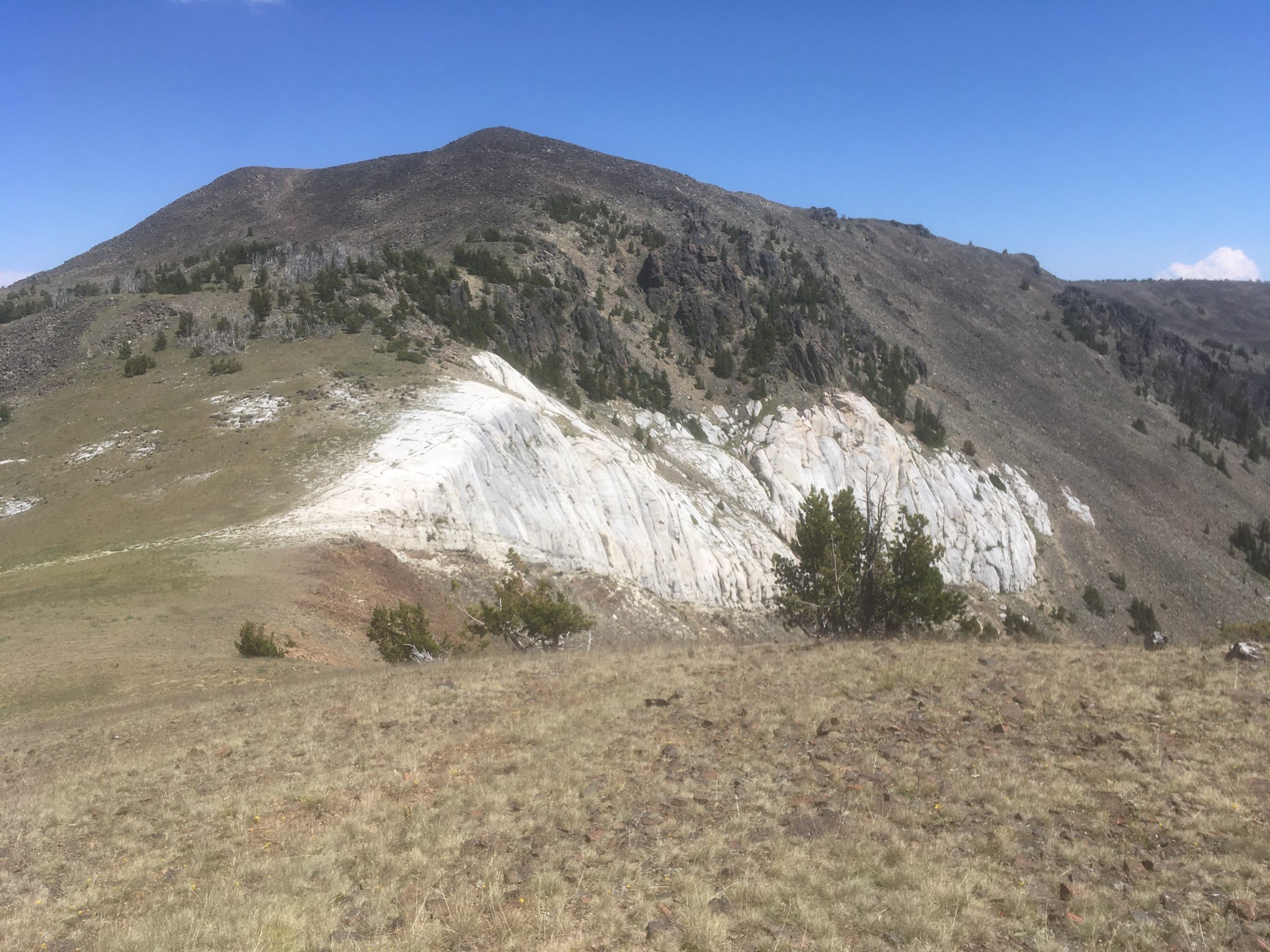 Block of marble within the Elkhorn Mountains Volcanics at Elkhorn Peak