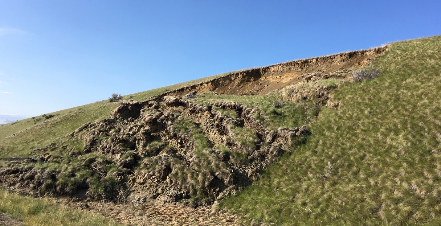 Landslide in Tertiary sediments near Divide