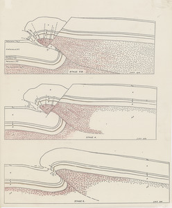 Wind River Basin Cross Section