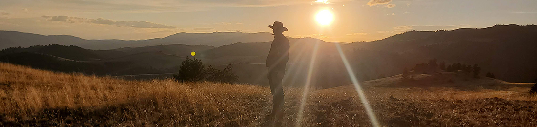 Cowboy silhouette.