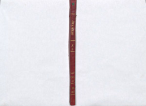 item thumbnail for M27 Vol. 1 Steward