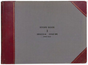 item thumbnail for N27 Vol. 2 Steward