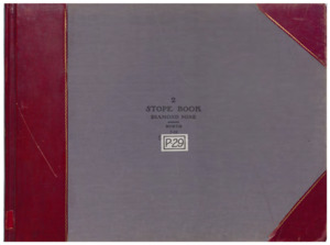 item thumbnail for P29 Vol.2 Diamond North