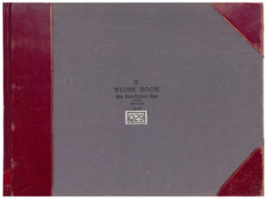 item thumbnail for Q29 Vol. 3 Gray Rock/Diamond