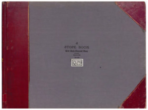 item thumbnail for Q29 Vol. 4 Gray Rock/Diamond South