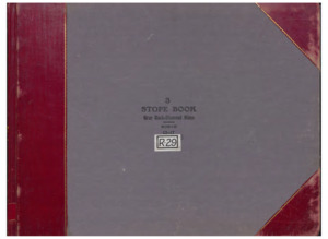 item thumbnail for R29 Vol. 3 Gray Rock/Diamond North