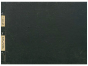 item thumbnail for K29 Belmont/Steward