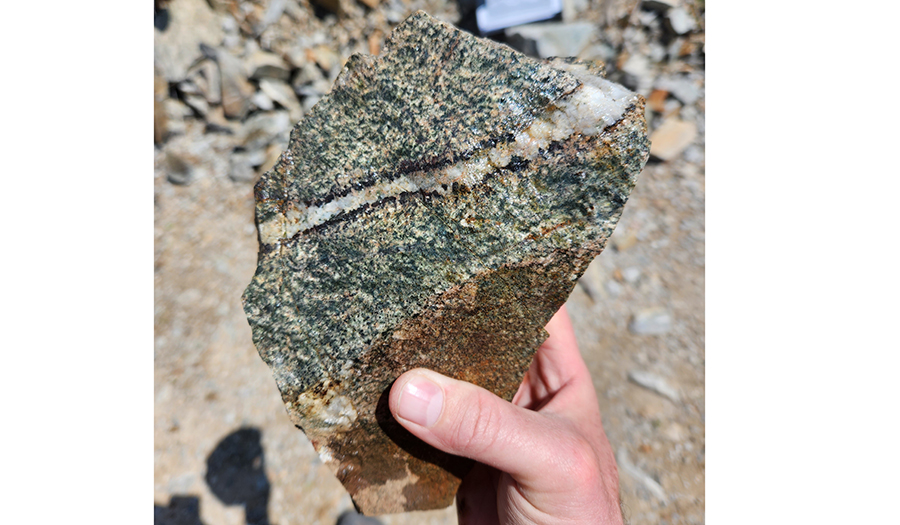 Quartz-magnetite vein in the Diamond Hill porphyritic stock, Park District