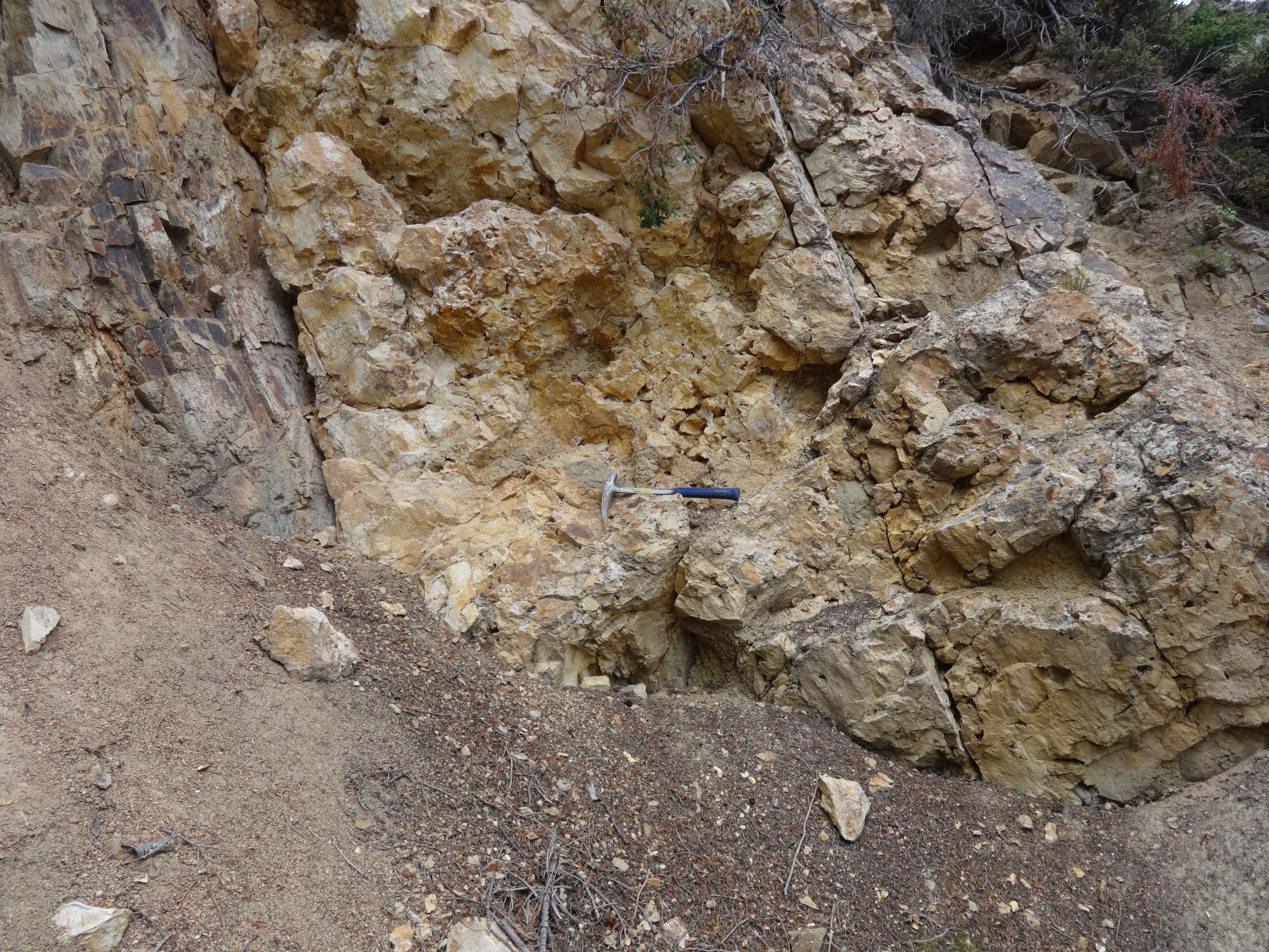 Outcrop of quartz vein and silicified dacite exposed at the Columbia Mine, Lowland Mining District, Jefferson County.