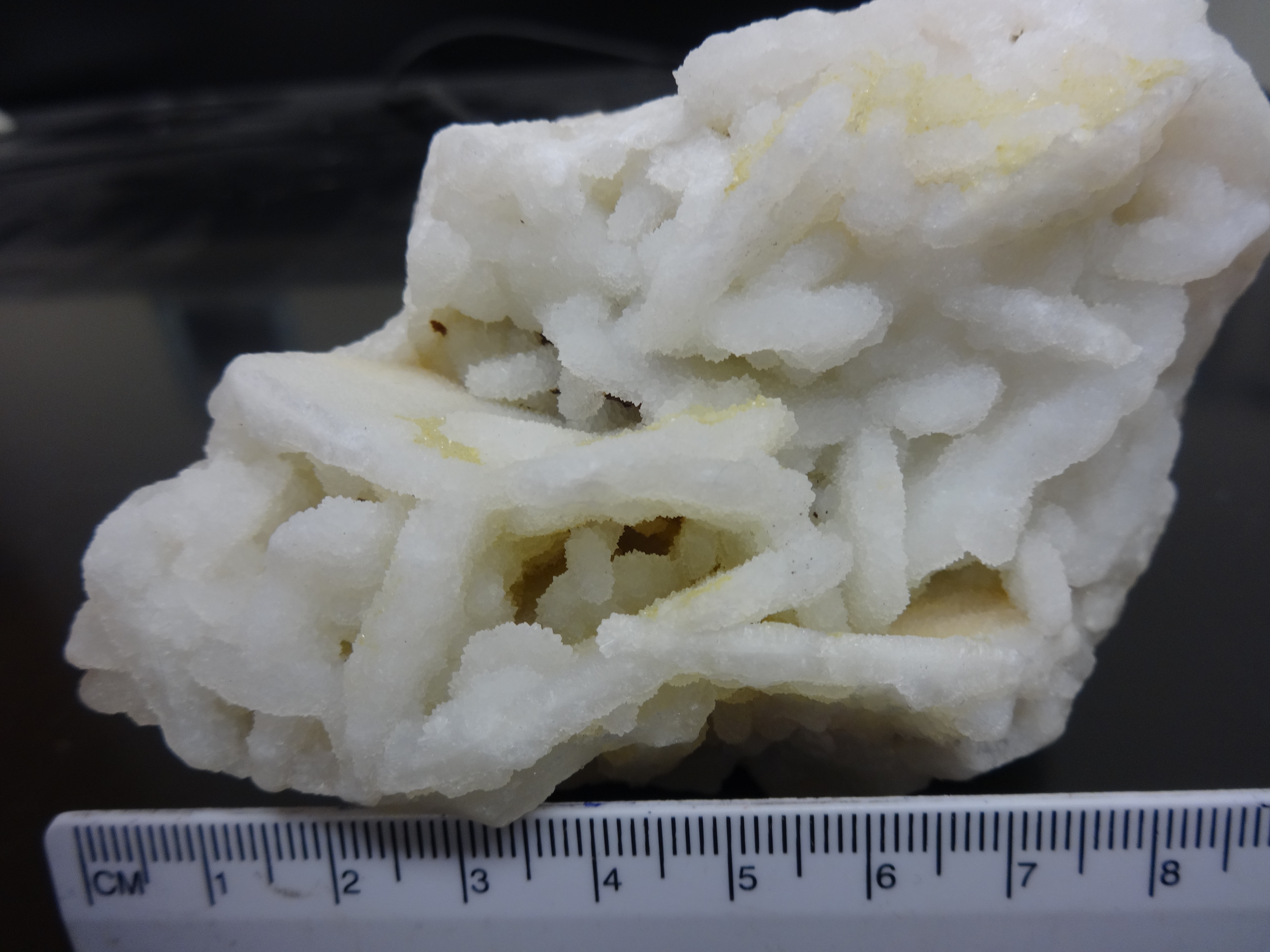 Quartz pseudomorphing bladed calcite from the Ruby Vein, Oro Fino Mining District, Deer Lodge County.