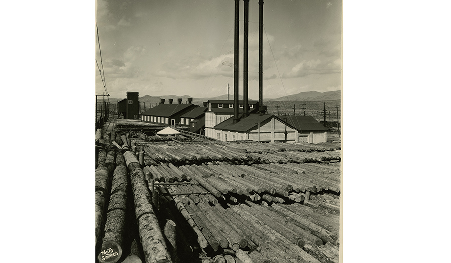 Original Rocker timber treatment facility with untreated logs in foreground