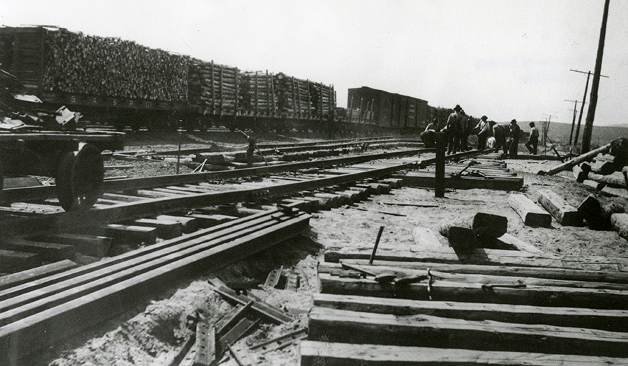 Logs on rail cars at Rocker timber plant
