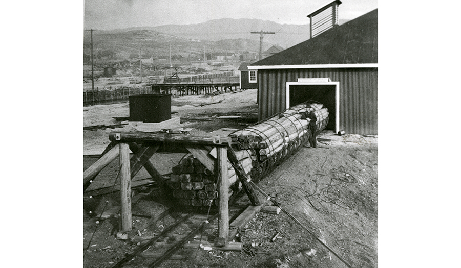 Rail cars with logs entering treatment facility