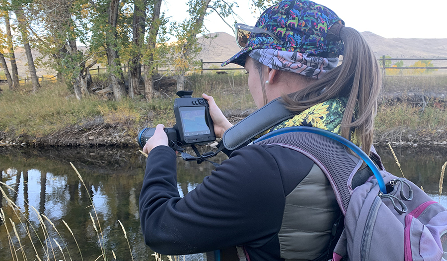 Using thermal-infrared imagery to detect cold groundwater from warm surface water during fall to help understand groundwater/surface-water interactions