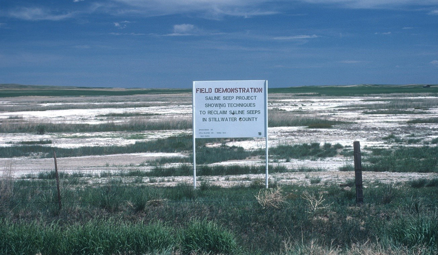 Field reclamation demonstration site in Stillwater County